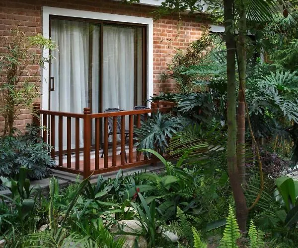 Thrive, A Tropical Courtyard Hotel